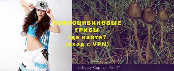 прущие крисы Алексин