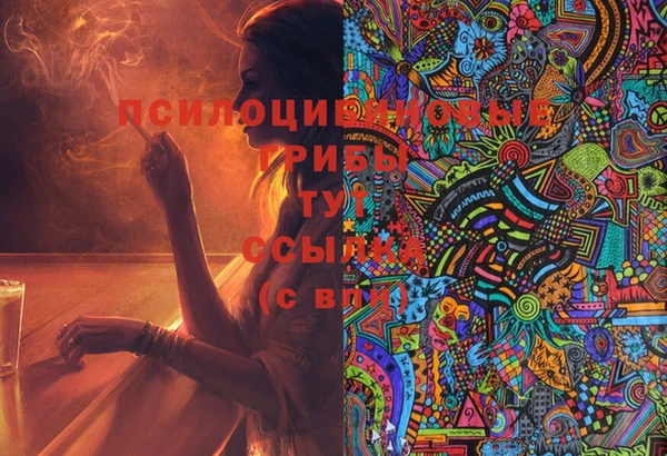спиды Абдулино