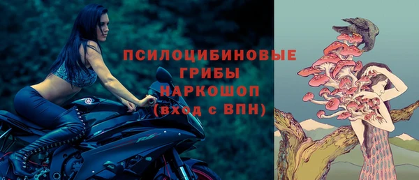 2c-b Абинск