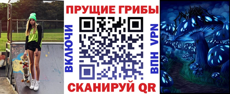 Псилоцибиновые грибы прущие грибы  мега маркетплейс  Судогда  магазин   