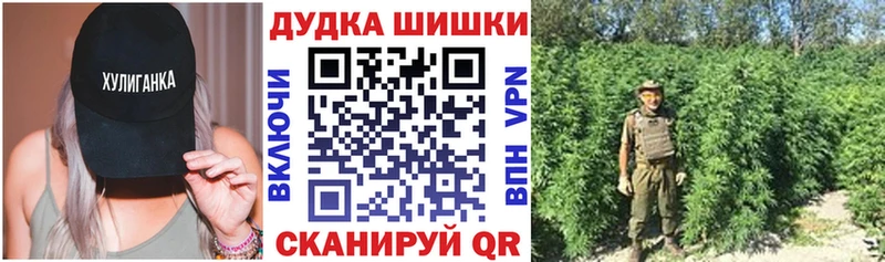 Бошки Шишки сатива  Судогда 